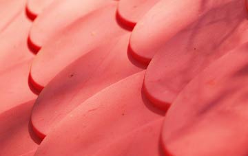 Tattle Bank plastic roof costs